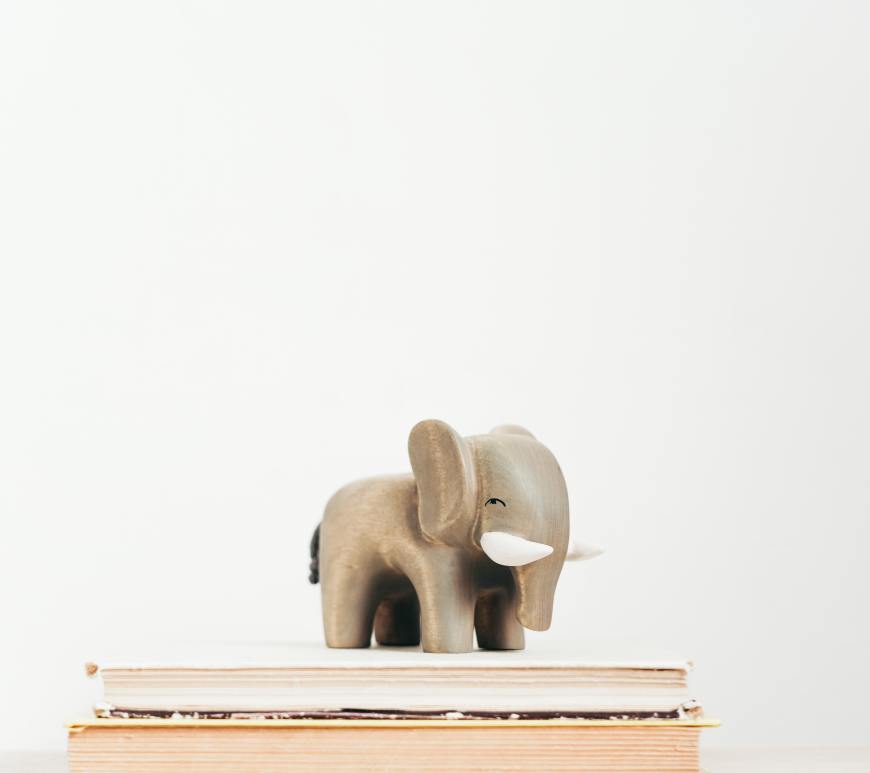 wooden toy elephant on two books