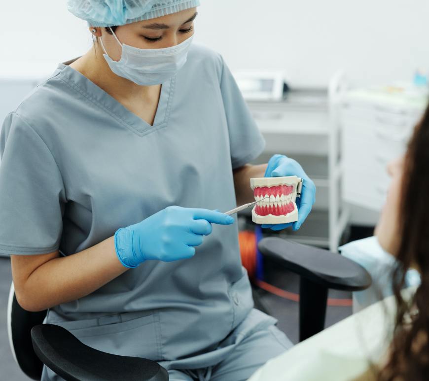 person in scrubs sitting across from someone else and holding a model of teeth, pointing at them with dental apparatus